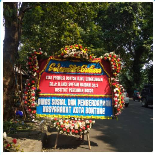 BPB - Bunga Papan 075