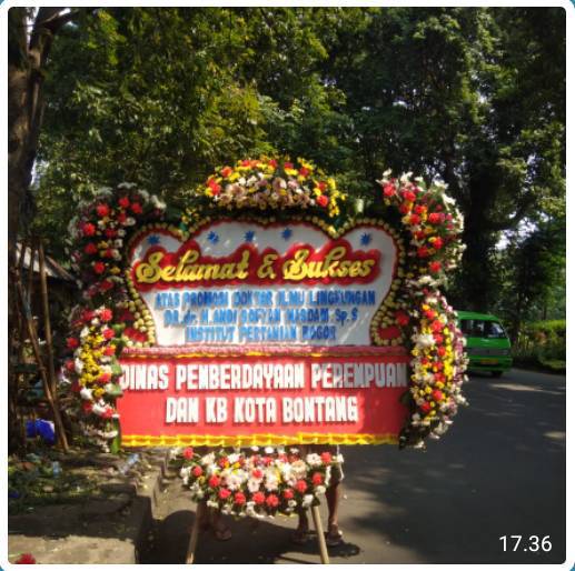 BPB - Bunga Papan 077